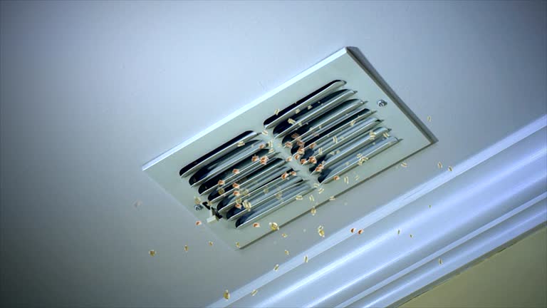 Best Air Duct Cleaning Near Me  in Woodmore, MD