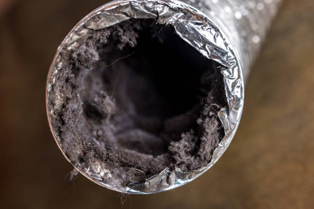 Best Affordable Duct Cleaning Services  in Woodmore, MD